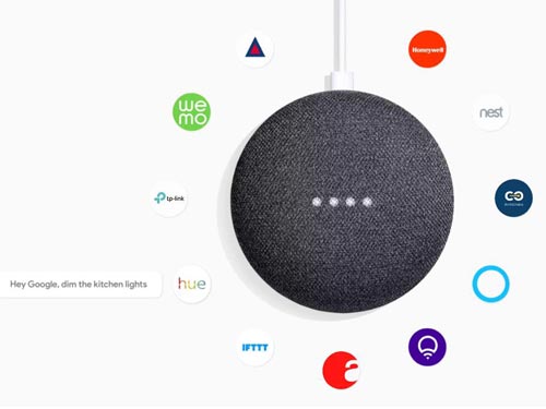 Google Home Mini - Charcoal