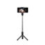 HUAWEI Wireless Travel Tripod Selfie Stick