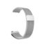 Magnetic-Steel-Strap-for-20mm---Silver