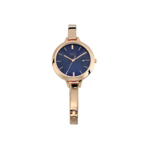 Titan Raga 2578WM02 Blue Dial Metal Strap Women's Watch (1)