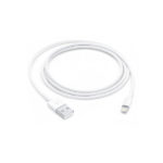 Apple Lightning to USB Cable 1m