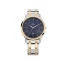 TITAN-NR1825KM01-Blue-Dial-Stain