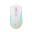 H53915f2905094c5b94c3b8048295606